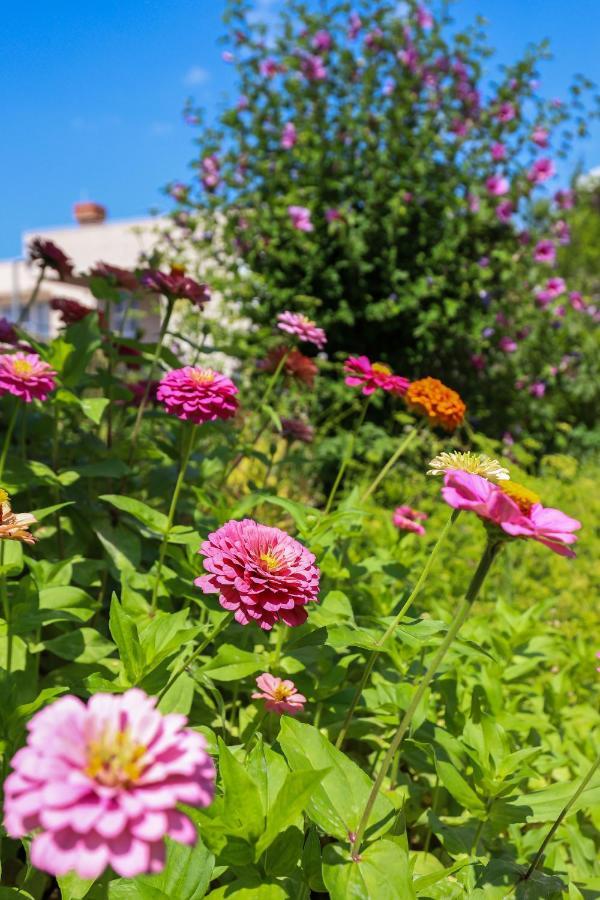 Apartment Garden M&m Dubrovnik
